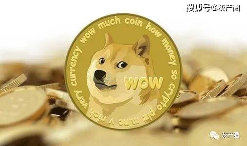 如何避开黑名单查狗狗币历史最高价？线上办理全流程省3天