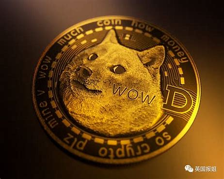 如何避开黑名单查狗狗币历史最高价？线上办理全流程省3天