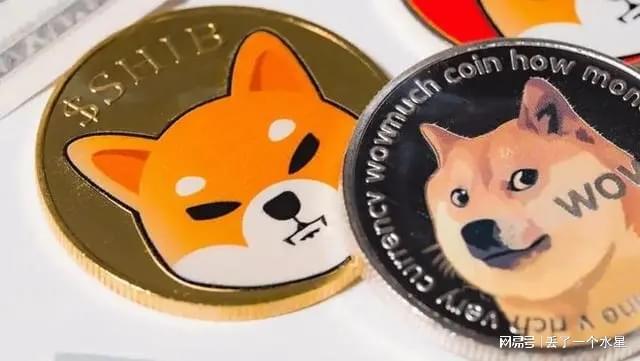 柴犬币暴涨28万倍的底层逻辑是什么？全球监管视角深度剖析