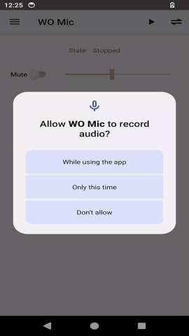 WO Mic