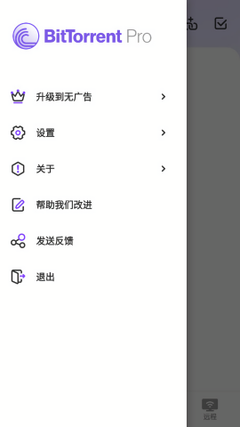 BitTorrent Pro