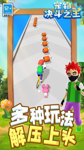 宠物决斗之王