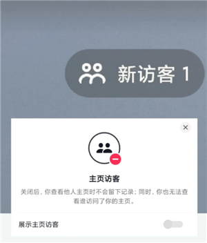抖音访客一开一关有记录吗？抖音访客显示1点开却没有怎么回事
