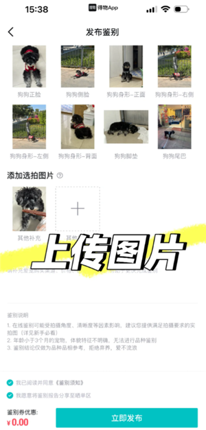 得物宠物鉴别怎么弄 得物宠物鉴别一般多久出接货