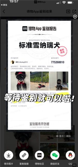 得物宠物鉴别怎么弄 得物宠物鉴别一般多久出接货