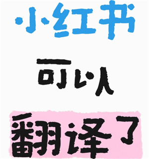 小红书翻译功能在哪里 小红书翻译功能怎么开启