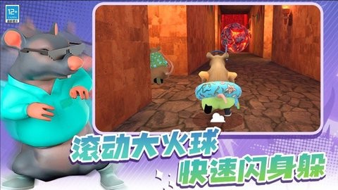 动物比赛3D