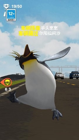 过个马路