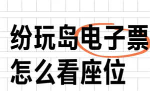 纷玩岛出票了怎么查看座位 纷玩岛出票后多久出座位