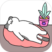 喵喵合成屋