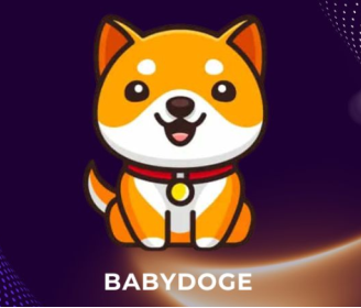 Babydoge币未来价值解析：2021年发行至今的潜力与特色