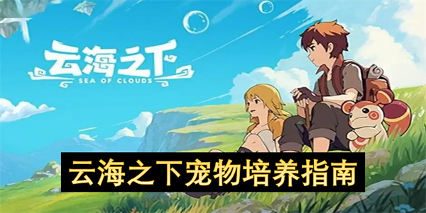 如何在云海之下高效培养宠物？全面指南揭秘