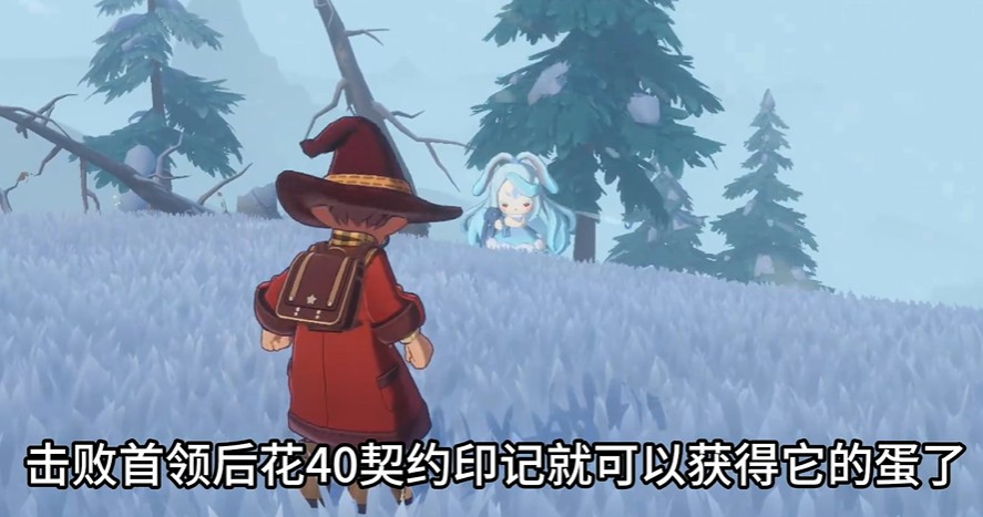洛克王国世界帽兜娃娃在哪抓