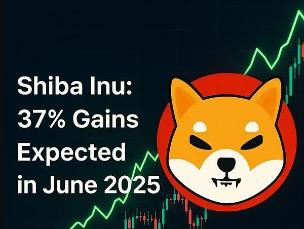 预计 2025 年 6 月 SHIB 将上涨 37%