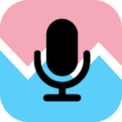 voice tools安卓汉化版