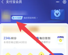 支付宝会员等级怎么算的 支付宝会员有几个等级