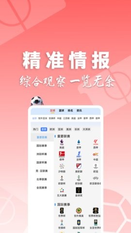 310大师