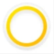 Insta360