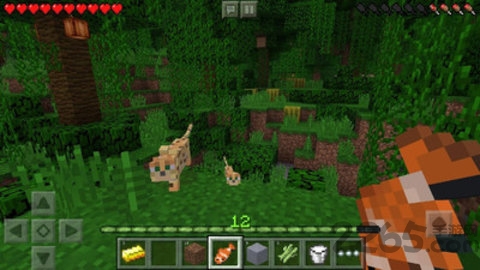 我的世界夏季版