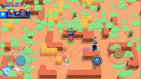 荒野乱斗私人版