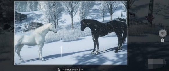 燕云十六声寻二马记任务怎么做