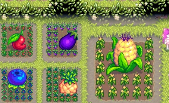 《星露谷物语》巨大作物种植方法