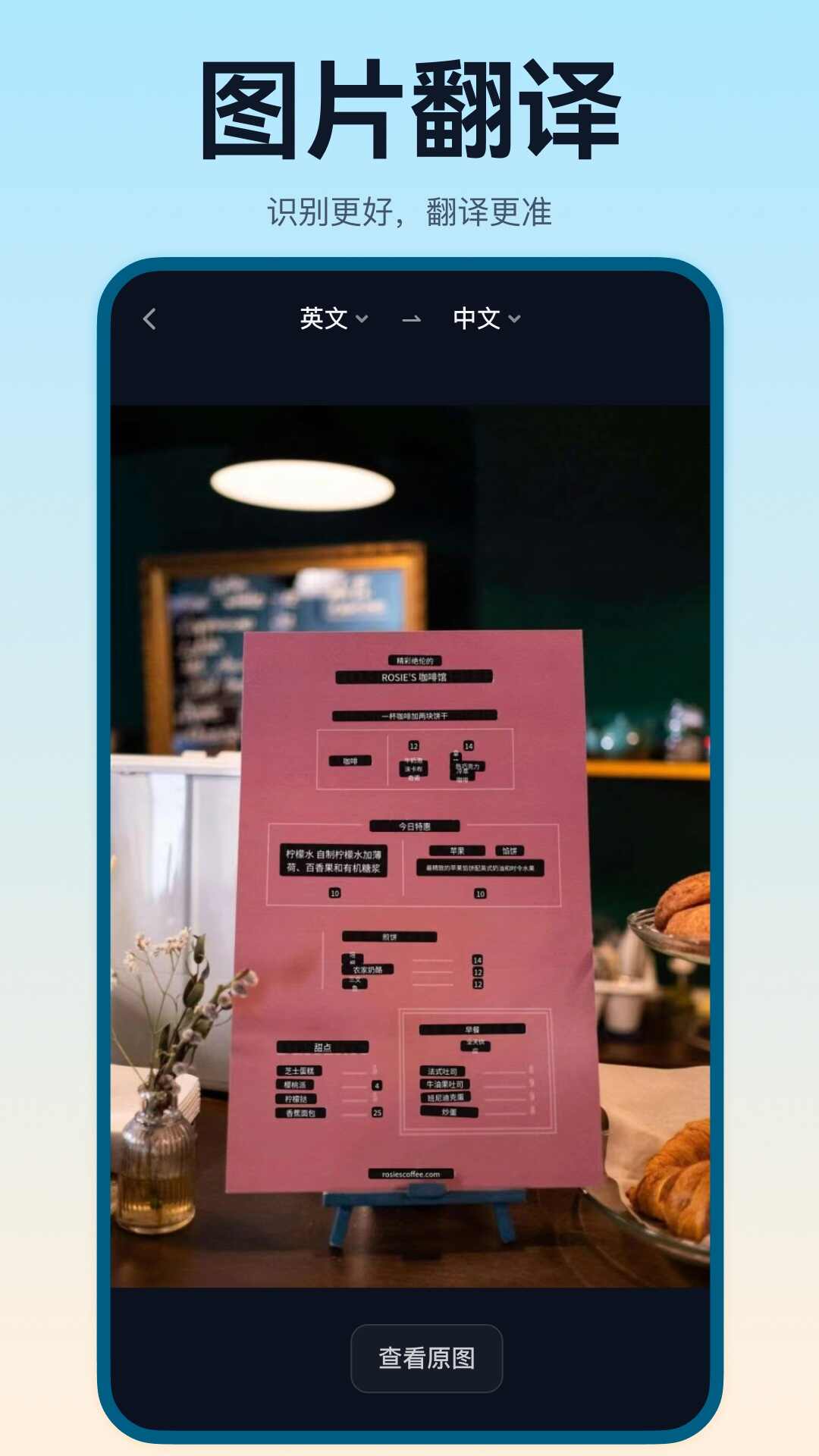 翻译鸥