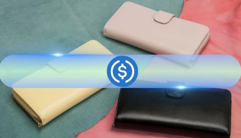 为什么1CAT 在牛市能实现百倍增长？