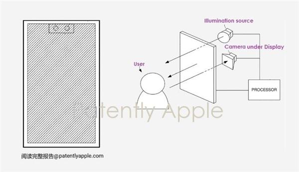 苹果放弃药丸屏！iPhone 18 Pro系列屏幕曝光：回归单挖孔