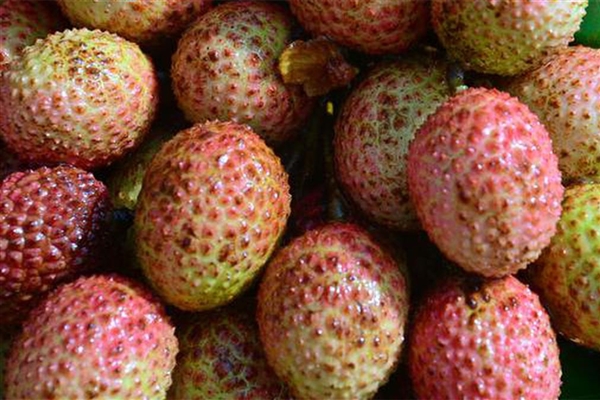 过量食用荔枝或引发“荔枝病”：严重时可导致昏迷