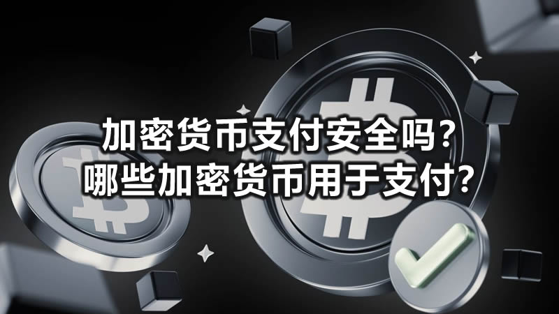 加密货币支付安全吗？哪些加密货币用于支付？安全性、风险和最佳实践指南