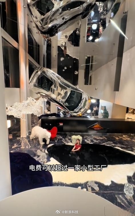 一年电费40万炫富网红被禁言：800万兰博基尼挂墙 别墅装修费8000万