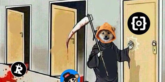 比特币Runes全面上涨！DOG单日涨超19% JOKER冲上榜首