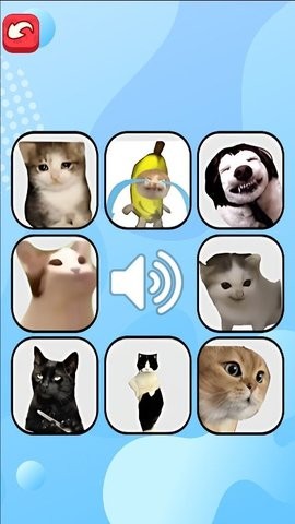 猫meme考试