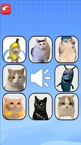 猫meme考试