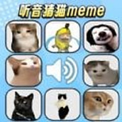 猫meme考试