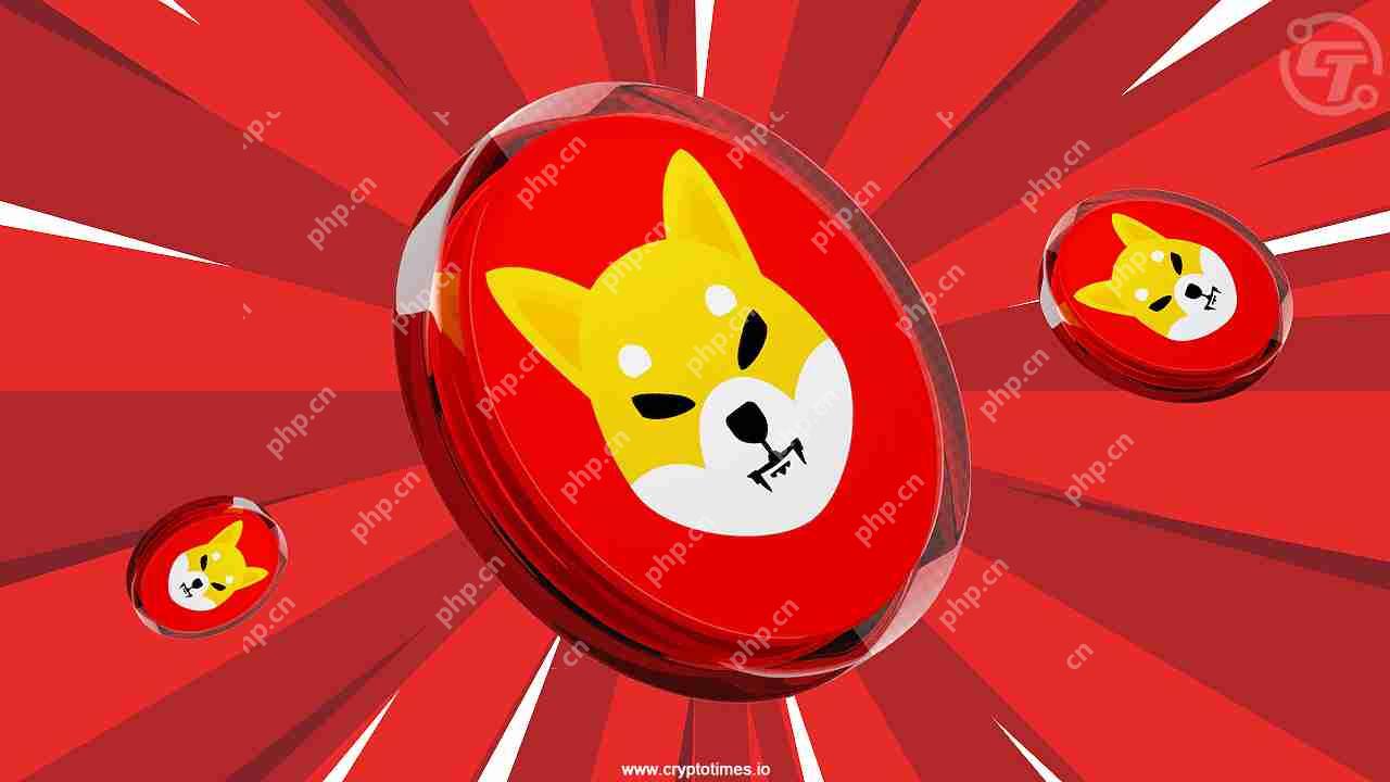 主流山寨币普涨背景下SHIB表现疲软