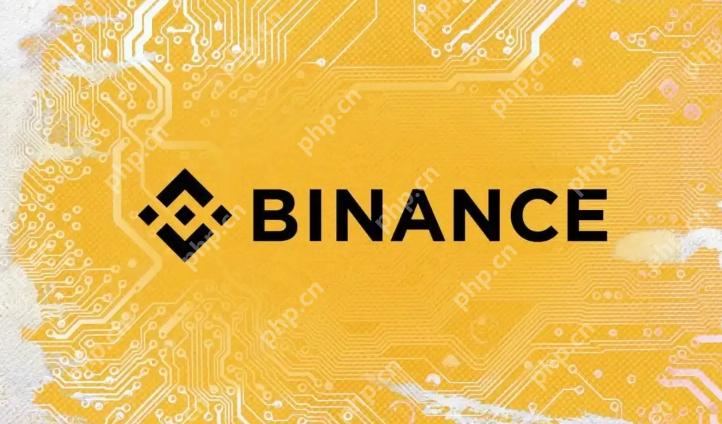 Binance交易界面展示