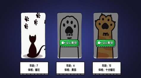 是一只猫咪呀