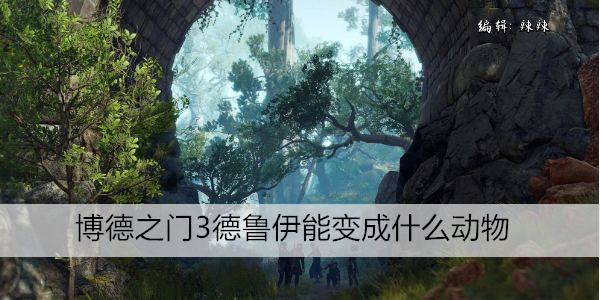 博德之门3德鲁伊变身动物形态大全