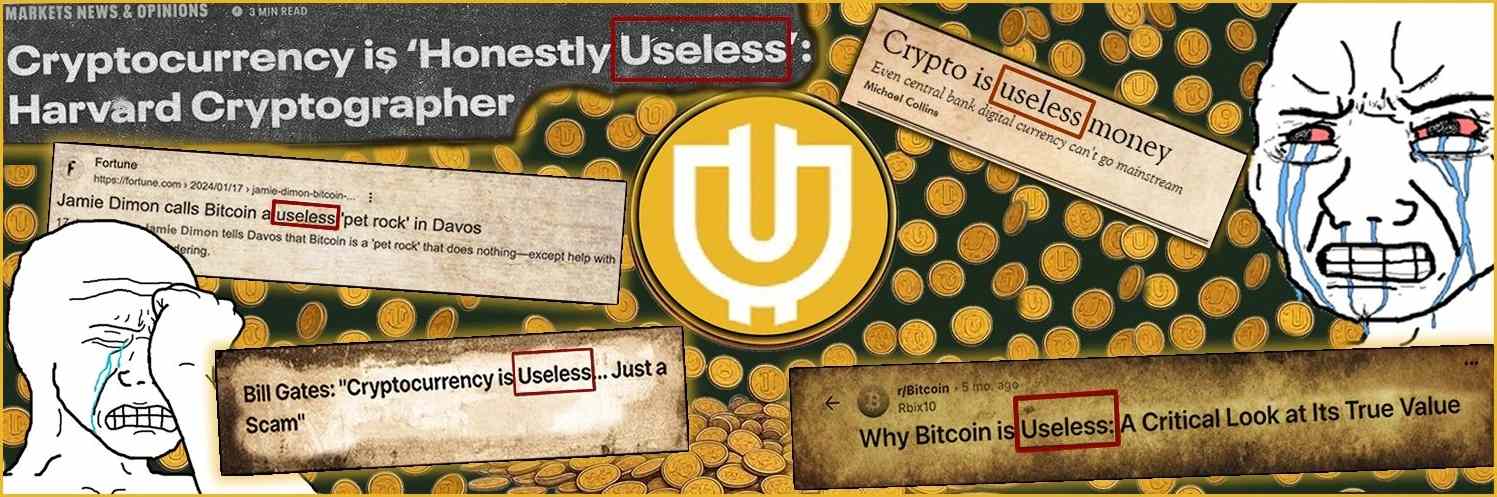 USELESS项目海报