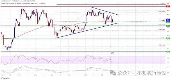 SOL、ETH 领涨反弹？这些山寨币近期值得关注