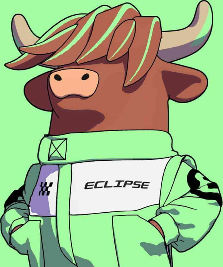Eclipse应用案例