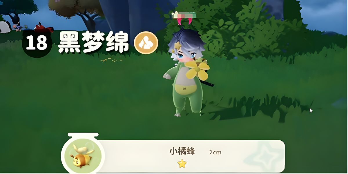 米姆米姆哈小橘蜂怎么抓