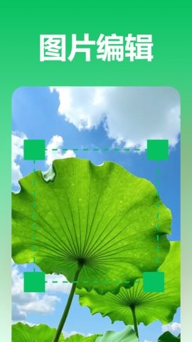 极光录音转文字
