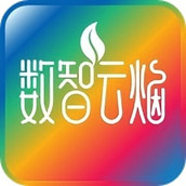 数智云烟