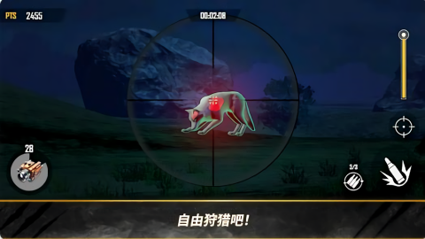 汉特与胡克先锋