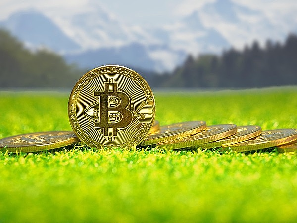 司法机关能否对虚拟货币进行定价？涉案金额如何认定？