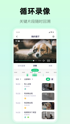 麦小芽