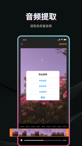 pr视频剪辑